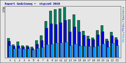 Raport Godzinowy -  stycze 2010