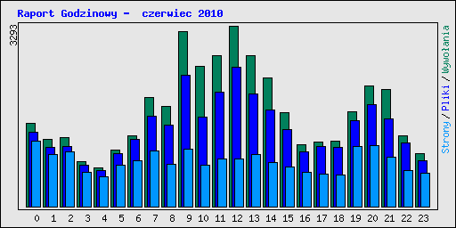 Raport Godzinowy -  czerwiec 2010