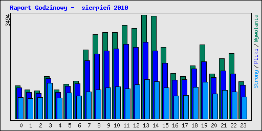Raport Godzinowy -  sierpie 2010
